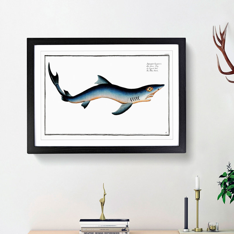 Blue Shark by M.E. Bloch - Picture Frame Painting Print on MDF, Black Framed, 48cm H x 65cm W x 2cm D