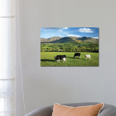 Cows Grazing In The Glen Of Aherlow, Galtee Mountains, County Tipperary, Ireland by Gareth McCormack - Wrapped Canvas Print