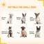 Panel Steel Pet Barrier With Door-94282651