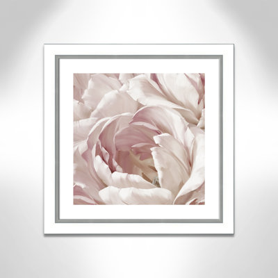 Intimate Blush " Intimate Blush II "