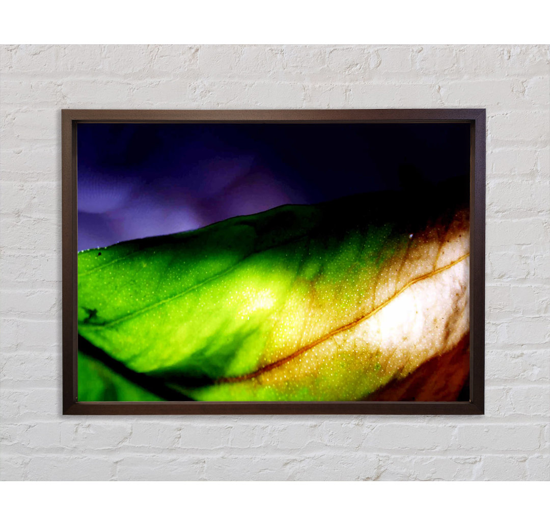 Vibrant Leaf Light - Einzelner Bilderrahmen Kunstdrucke auf Leinwand