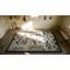 Ivory Scenic Bird of Paradise Antique Chinese Bat Cloud Band Design Peking Rug