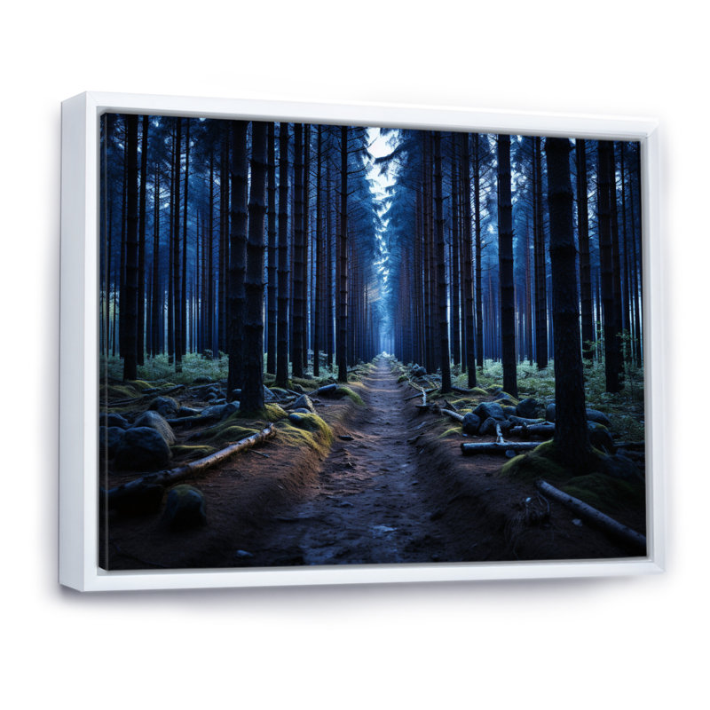 Sentier bleu de la forêt - Impression, Cadre flottant blanc, H 16 po x l 32 po x P 1 po