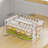 Dumpling Container Refrigerator Storage Box with Transparent Lid Large Capacity Non-Stick Design BPA Free Detachable Food Storage Container