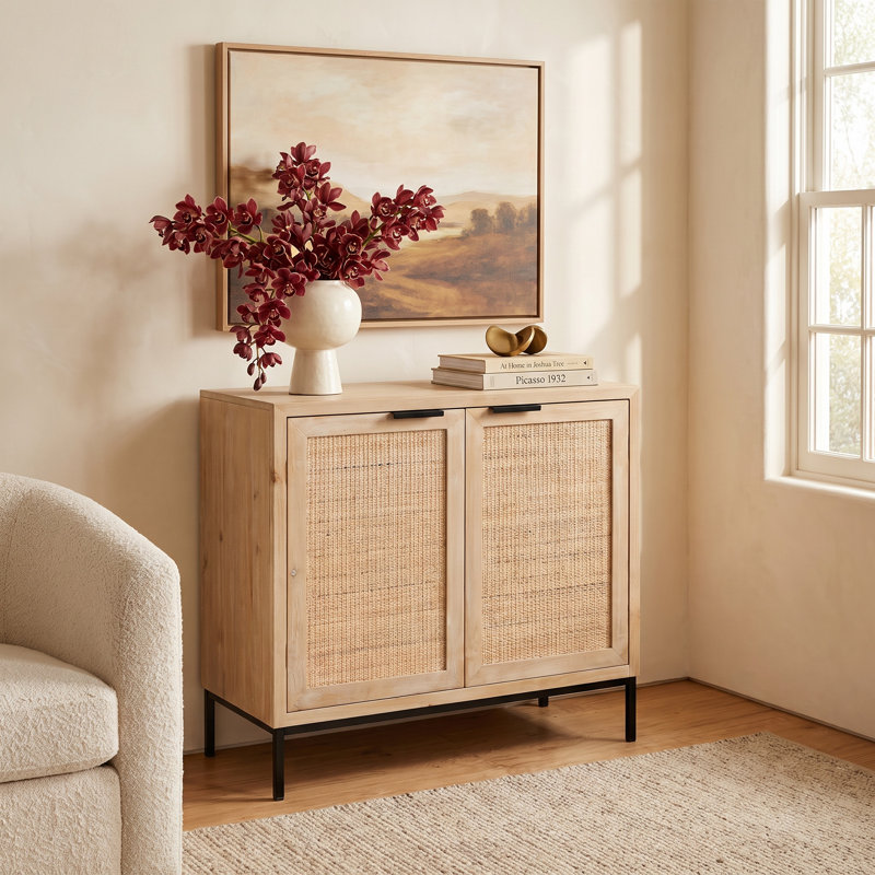 Mary 2 Door Accent Cabinet In Washed Wood & Black Metal