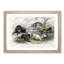 Wild Pig Illustration by Oliver Goldsmith - Framed Print-55612023-55612028