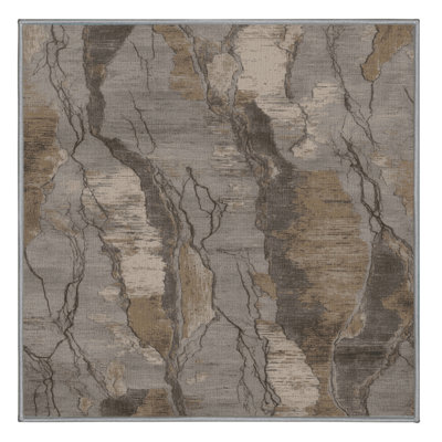 Machine Washable Nature Gray Area Rug