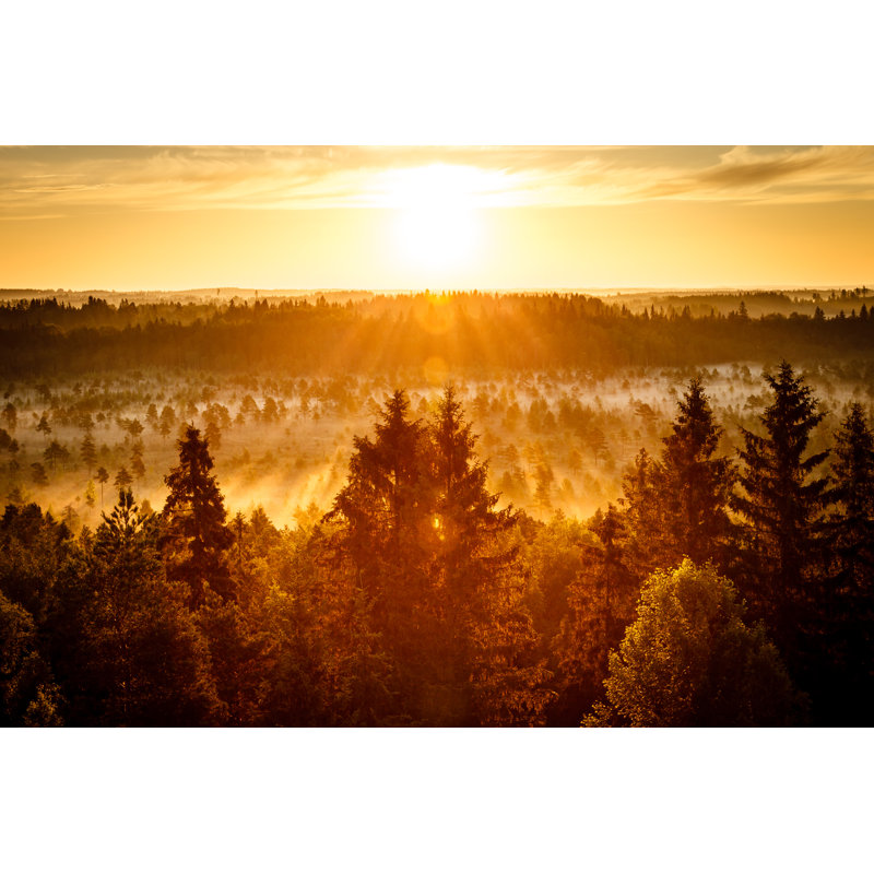 Sunrise At Swamp by Ttretjak - Wrapped Canvas Print, 81cm H x 122cm W x 3.8cm D