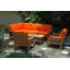 Luxe Outdoor 7 - Piece Teak Conversation Set