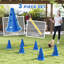 30cm H Plastic Dog Agility