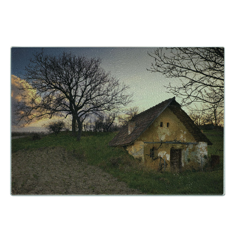 Multicolore Ambesonne