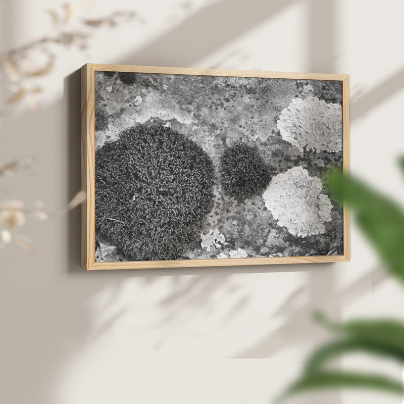 Found Textures XIX -Framed Print - Restickable, Natural, 22" H x 28" W