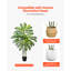 Arbre artificiel artificiel Dracaena avec plante verte-948328348