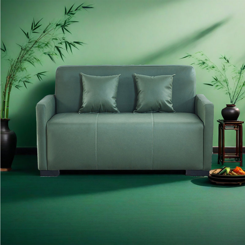 Canapé double moderne simple, Cuir vert