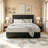 Solid Wood Bed Frame-691957389-691957391