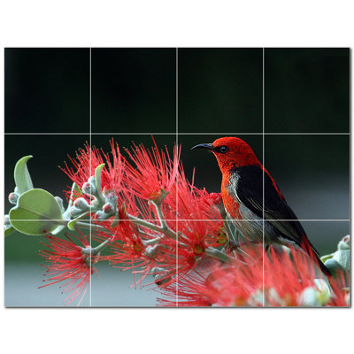 Bird Photo 4.25'' x 4.25'' Satin Ceramic Decorative Mural