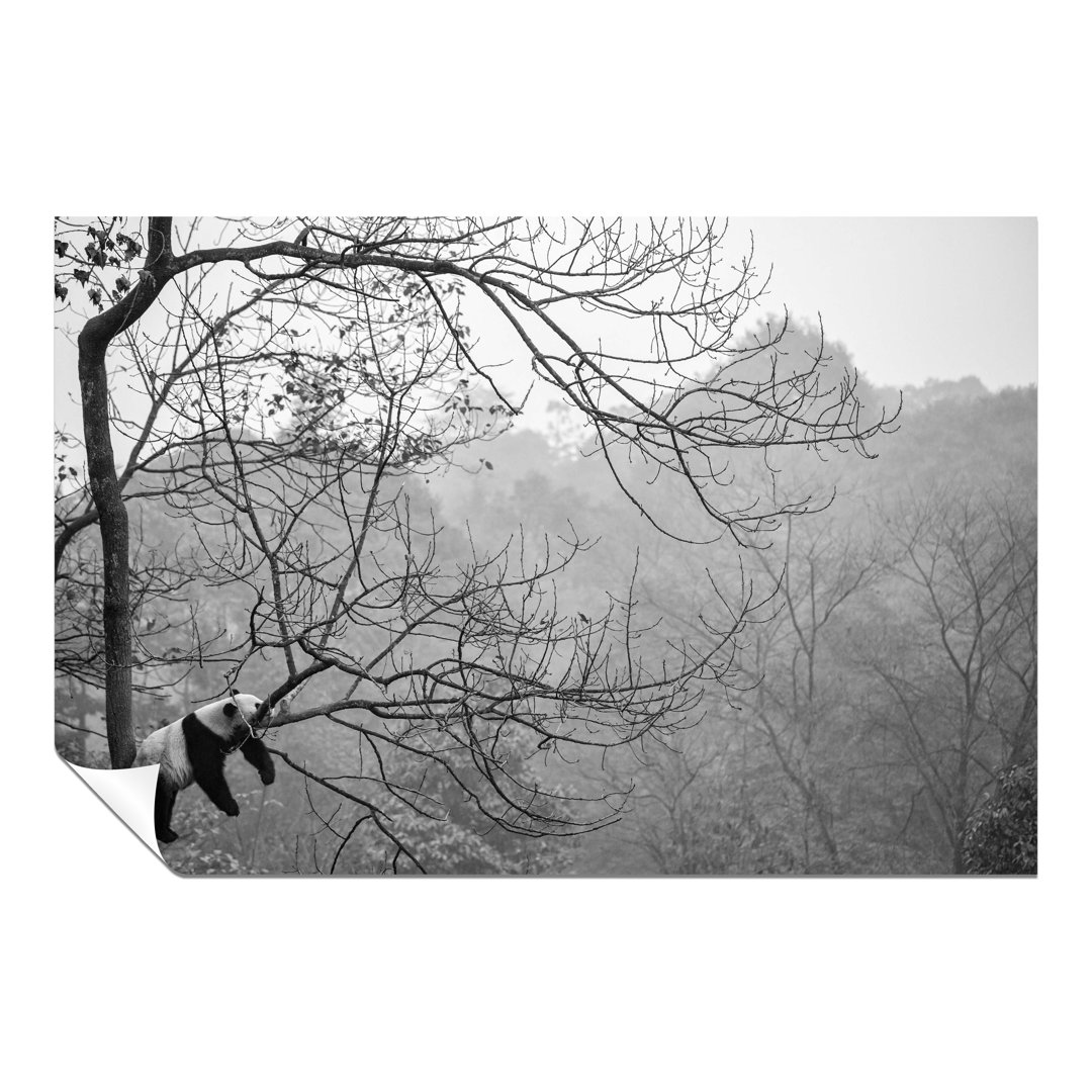 Panther Print Fine Art Prints Panda Relaxing On A Tree Wildlife Artistic Unframed Poster, Pictures For Home Walls, Bedroom, Living Room & Bathroom Dec