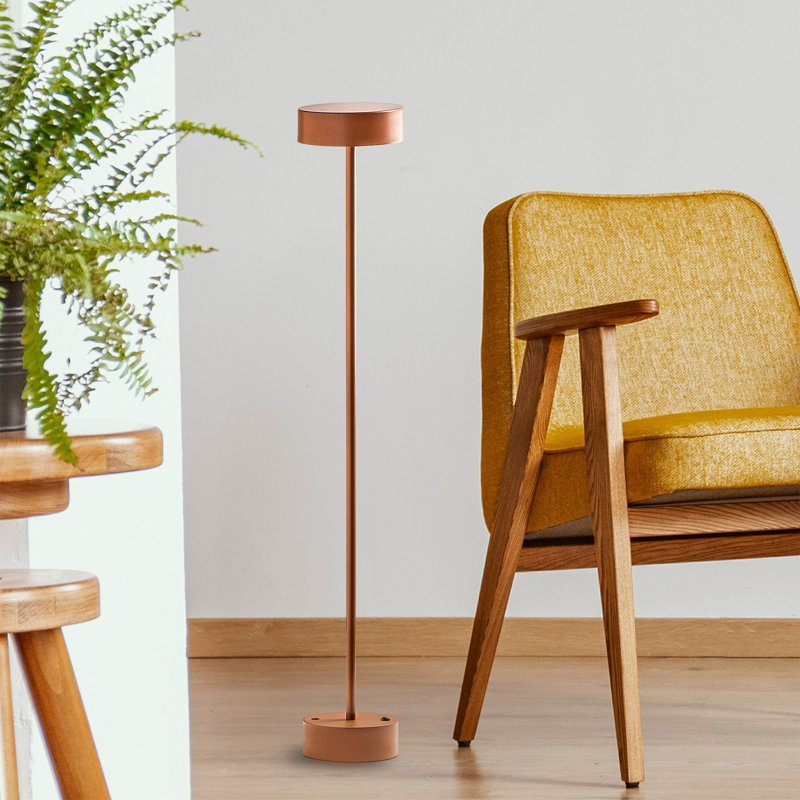 43.623'' Traditional Floor Lamp, Bronze
