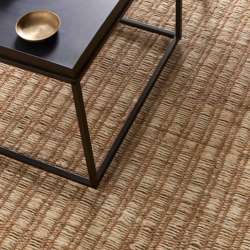 Jaipur Living Vitani SOS04 Handwoven Border Tan Area Rug (12'X15'), Rectangle 6' x 9'