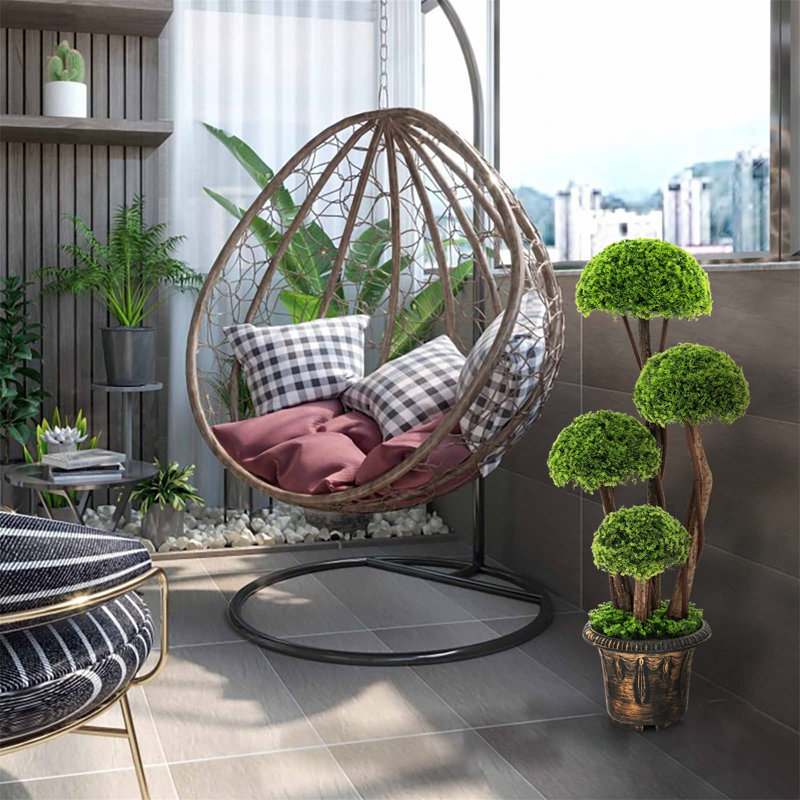 35,5 plante