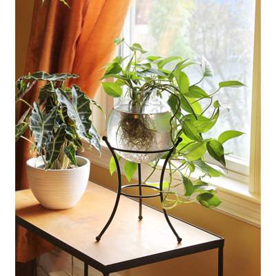Selby Metal Gazing Ball Stand