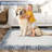 Washable Area Rug ,Non Slip Low Pile Pearl Velvet Abstract Carpet, Modern Rug for Living Room Bedroom,-23061705