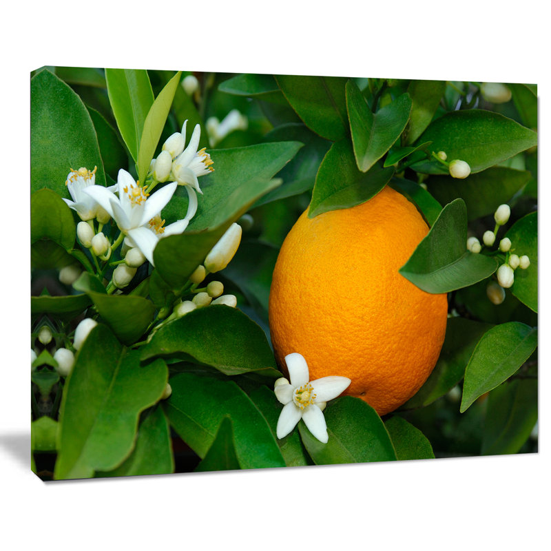 " Orange Blossom ", 8" H x 12" W x 1" D