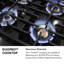 ZLINE Autograph Edition 30 in. Paramount Gas Rangetop with 4 Burner DuoPro Cooktop in Stainless Steel and Champagne Bronze Accents-467952089-467952090