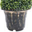 Faux Boxwood Plant in Pot-1147386069