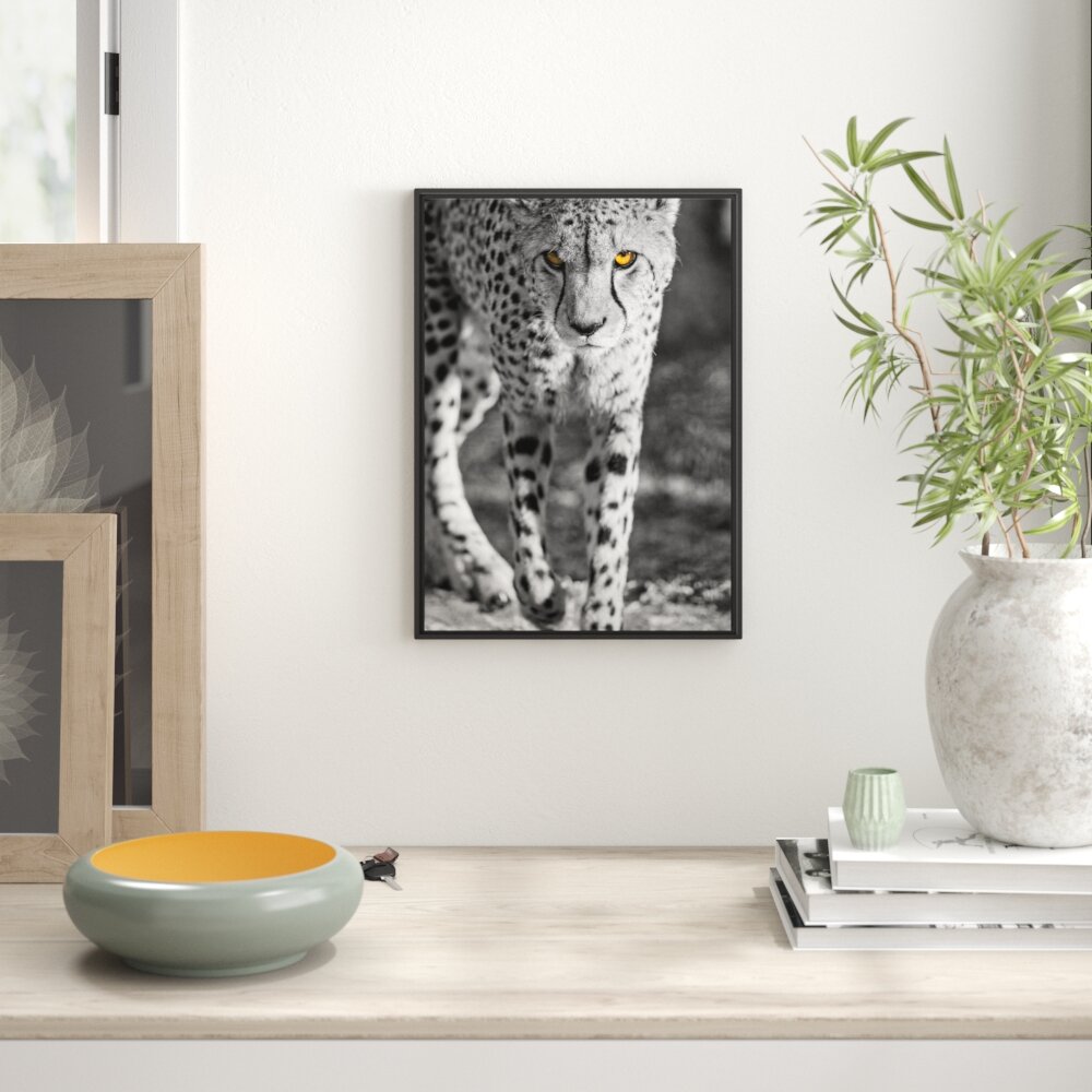 Gerahmtes Wandbild anpirschender listiger Gepard