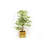 150cm Faux Birch Tree in Wood Planter