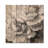 Peonies In Monochrome Layers I - Peonies Wood Print - On Natural Pine Wood-1883694706