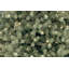 The Holiday Aisle® Downswept Douglas Blue Fir Tree with Clear Lights-1815419842