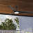 Gossamer 52'' Indoor Ceiling Fan with Light and Remote, Ceiling Fan with LED Light Kit, Modern 3-Blade Design, Quiet 6-Speed DC Motor - Matte Black-89481472-89481473
