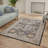 Oriental Indoor Rug-1754716561