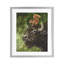 «Bison & Squirrel Duo», reproduction sous verre encadrée, conception de George Dyachenko-387648078-387648074