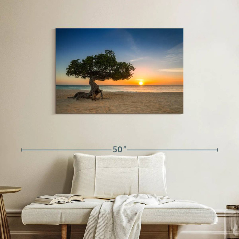 Arbre Gillard Aruba Divi Divi, H 26 po x l 39 po
