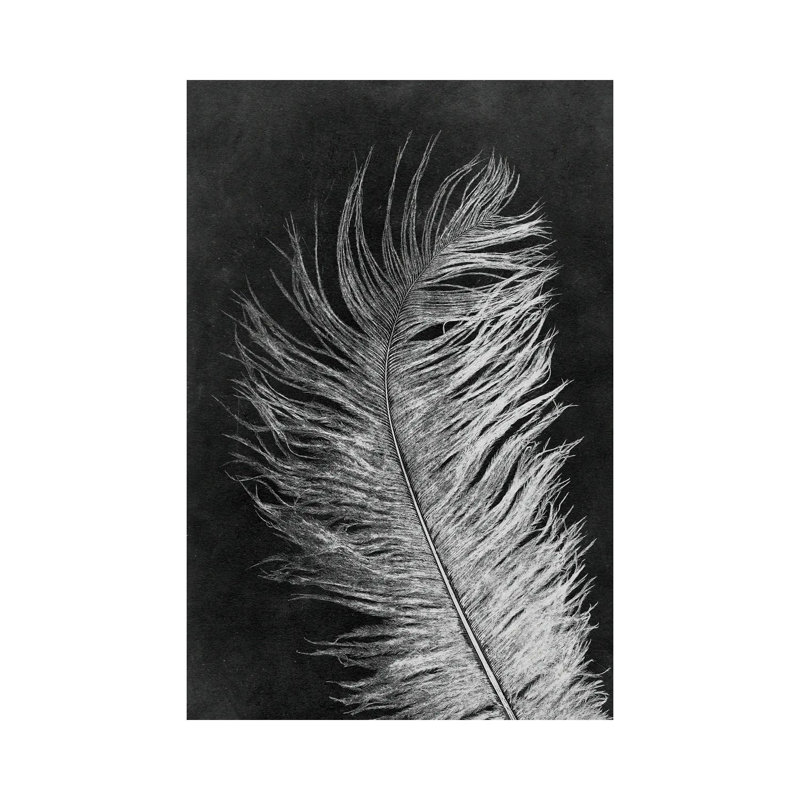 Feather III Dark - Wall Art Print