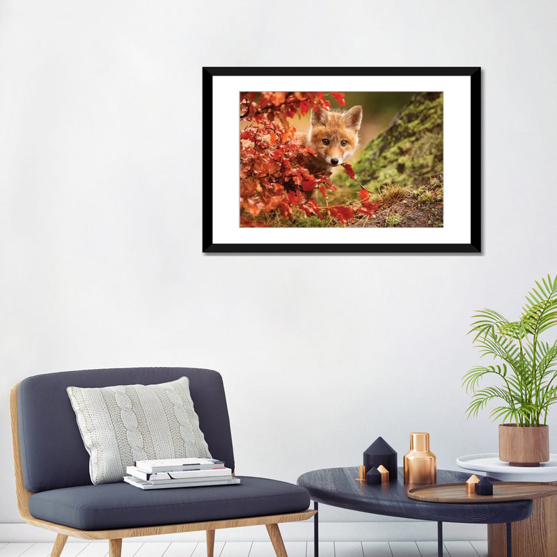 « fox », reproduction de photo sur toile tendue, H 16 po x l 24 po x P 1 po, Papier d'art encadré noir, Blanc