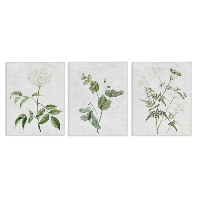  "Soft White Botanicals", ensemble de 3 toiles murales par lettres et lignes, H 14 po x l 11 po