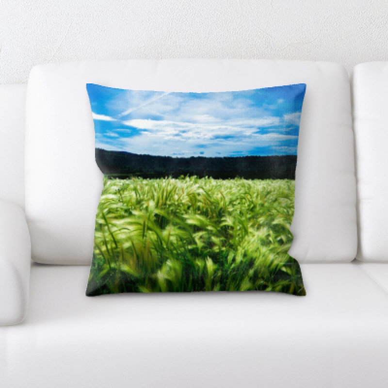 Microsuede Throw Pillow