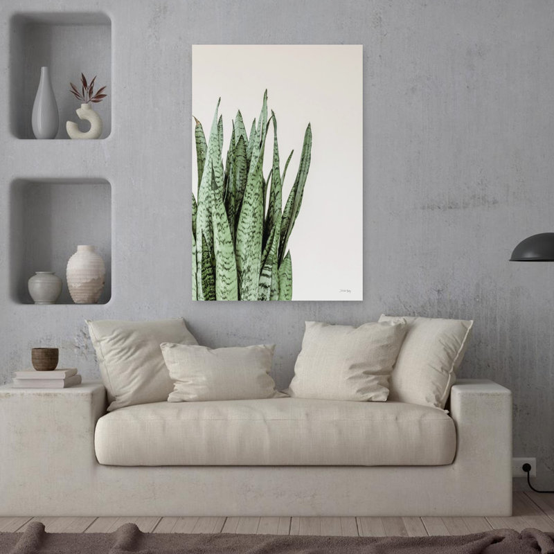Boho Snake Plant, H 36 po x l 24 po