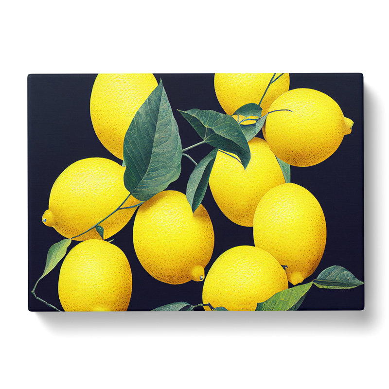 Selection Of Lemon Fruit Vol.4 - Wrapped Canvas Print, 35cm H x 50cm W x 3cm D