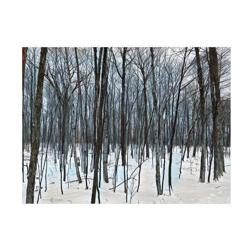 Art sur toile de thuyet d'hiver ,olog, H 14 po x l 19 po