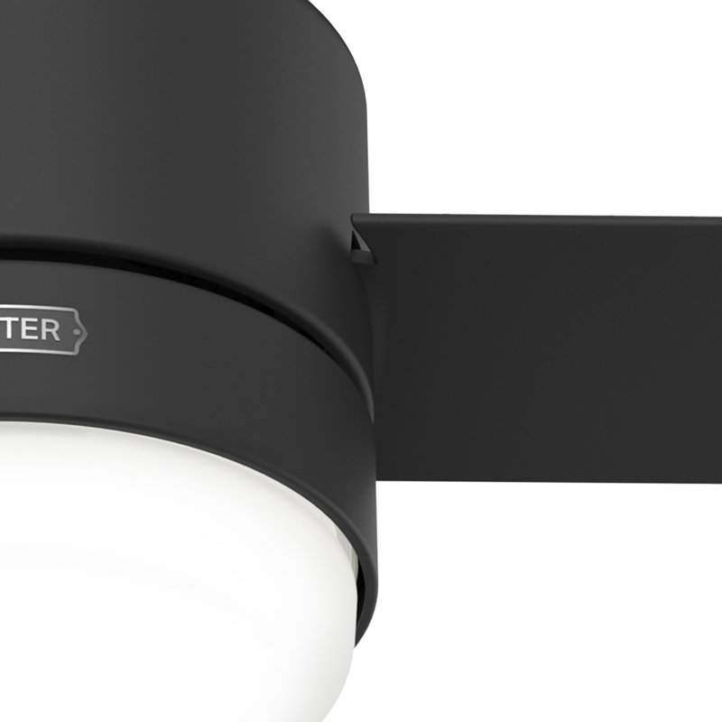 44" Gilmour 3 - Blade Damp Rated Ceiling Fan with LED Light Kit and Handheld Remote, Matte Black