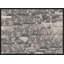 Botanic Revival 1 Print by Art House Studios-2015227670