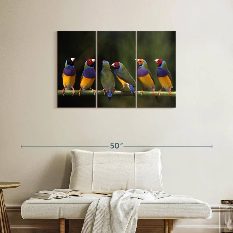 Gouldian Finch I