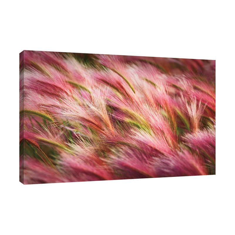 «Foxtail Barley II», toile tendue par Alan Majchrowicz, H 28 po x l 42 po x P 1,5 po