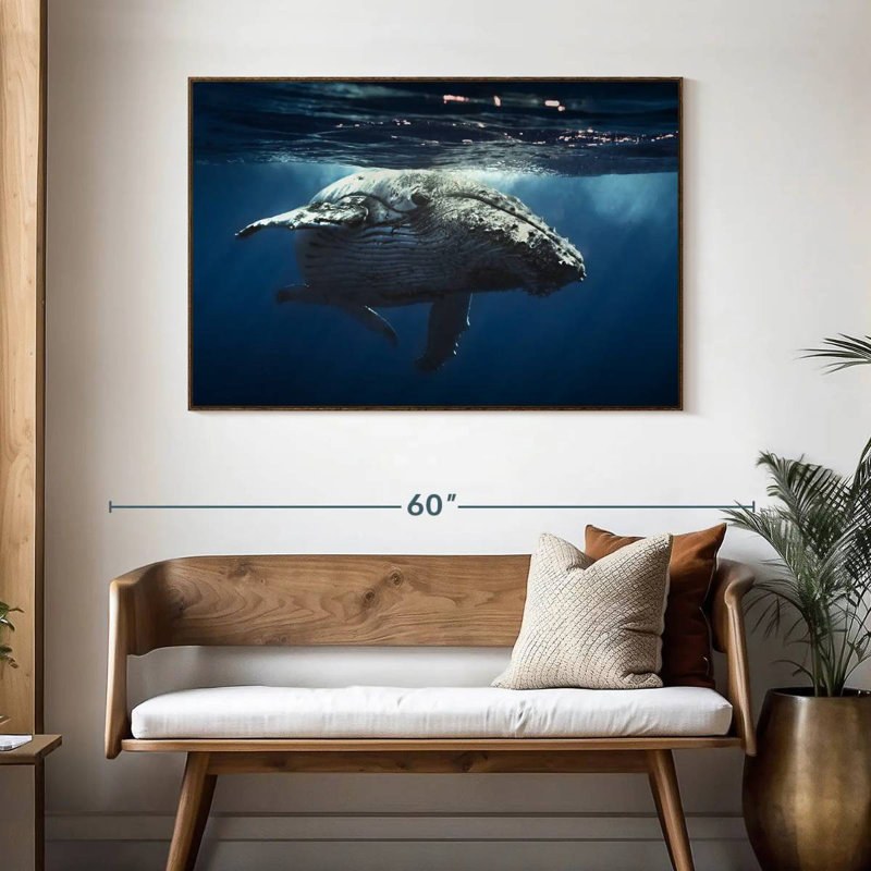 Baleine écumante, 46 po x 31 po, Cadre flottant noyer