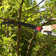 30FT Manual Pole Saw Tree Trimmers Long Handle Pruner Set